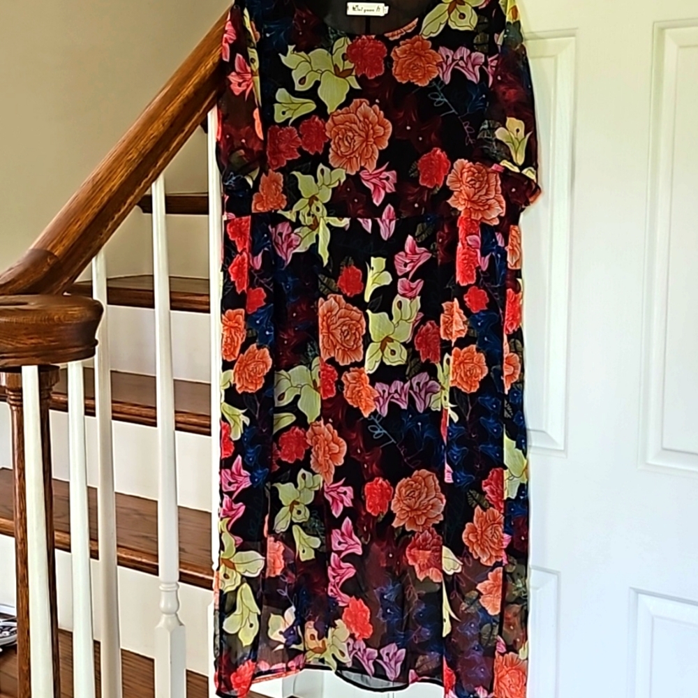 XL Dress by Dai yuann li. Shear w/black lining. Excellent Condition